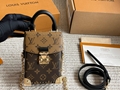 LV Bag