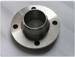 Stainless Steel Weld Neck Flange