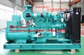 Engine Powered 500kw Diesel Generator Set/Genset 4