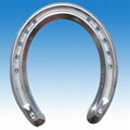 Horse shoe 3