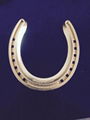 lucky horseshoe 4