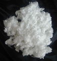 POLYESTER STAPLE FIBER