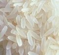 Seeking-rice-agents-for-Africa 1