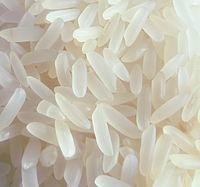 Seeking-rice-agents-for-Africa