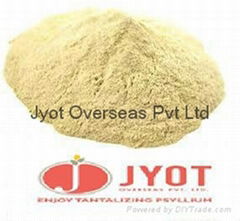 PSYLLIUM POWDER