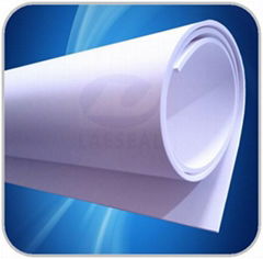 EXPANDED PTFE SHEET