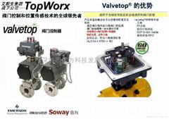 TopWorx产品应用简述