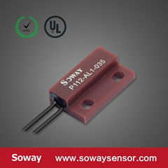 intelligent magnetic reed switch