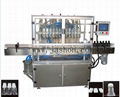 Olive Oil Full Automatic Filling Machine