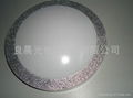 LED Ceiling Lamp   2