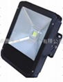 LED Tunnel Light