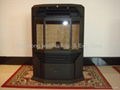 Pellet Stove 2