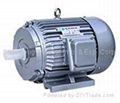 Electrical Motor