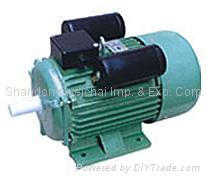 YC single cylinder Motors