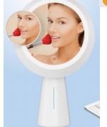 led  mirror lamp