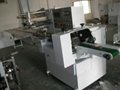 TNA FOOD TRAY PILLOW PACKAGING MACHINEERY 1