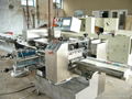 Stainless Steel flow packing machine 1