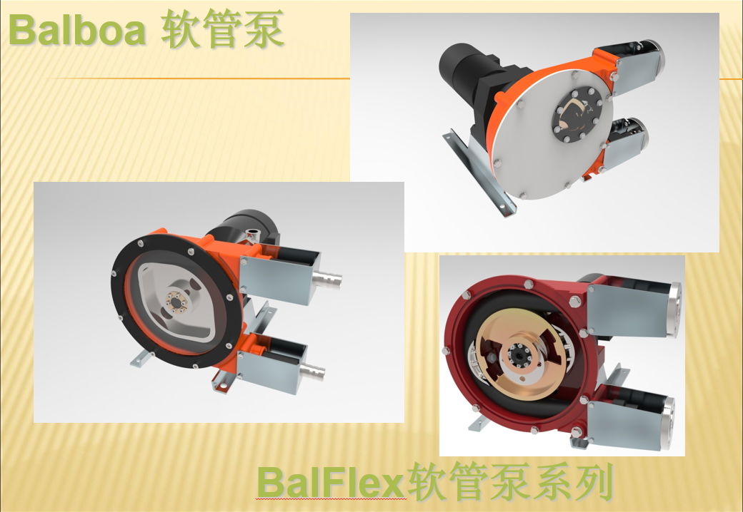 BALFLEX15軟管蠕動泵 3