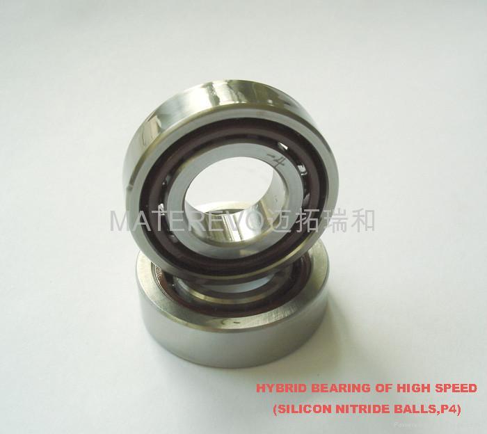 ceramic ball hybrid bearing