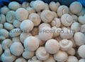 IQF MUSHROOMS ,FROZEN MUSHROOMS 1