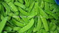 IQF Pea Pods,IQF Snow Peas,Frozen Pea