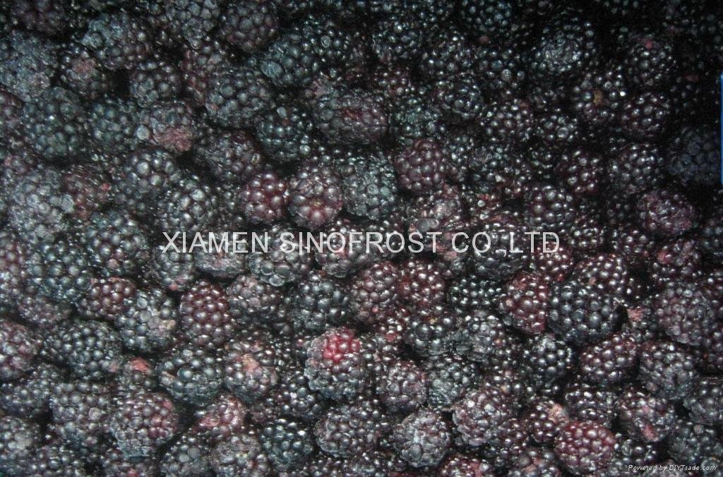 冷冻黑莓,速冻黑莓