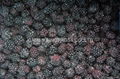 IQF Blackberries,Frozen Blackberries,IQF