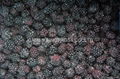 IQF Blackberries,Frozen Blackberries,IQF blackberry,Frozen Blackberry