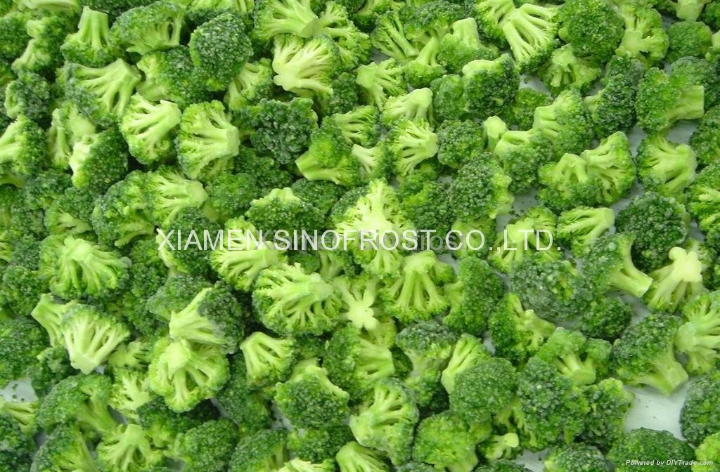 IQF Broccoli Florets,Frozen Broccoli Florets,IQF Frozen Broccoli Cuts 2