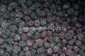 2022 crop IQF blackberries,Frozen Blackberry