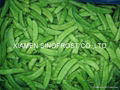 IQF pea pods,frozen snow peas,2019 new crop