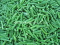 2021 new crop IQF whole green beans,IQF cut green beans