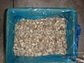 IQF Pleurotus Cubes,Frozen Pleurotus Strips,IQF Oyster Mushroom Slices 9