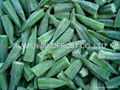 IQF okra,2019 new crop