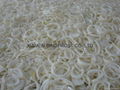 IQF diced onions,IQF sliced onions,new crop