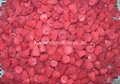 2011 crop IQF raspberries,cultivated