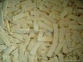 2012 new crop IQF bamboo shoots ,slices/strips/cuts