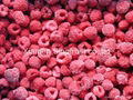 new crop IQF red raspberries,cultivated,wholes/brokens/crumbles/puree