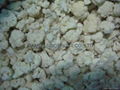 New Crop IQF cauliflowers