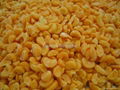 IQF Mandarin Segments,IQF Tangerine Segmemts, Frozen Mandarin Segments 1