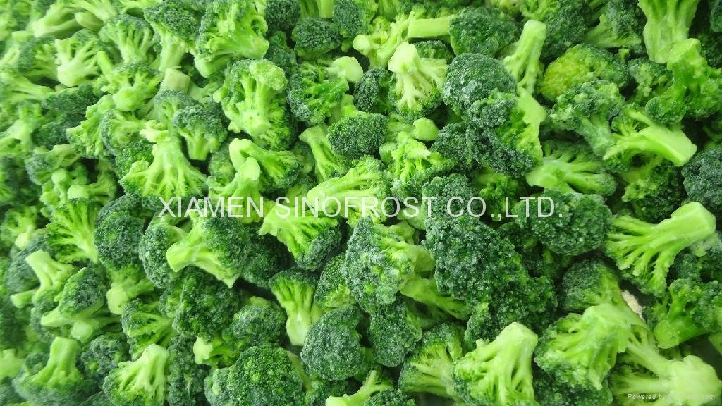 IQF Broccoli Florets,Frozen Broccoli Florets,IQF Frozen Broccoli Cuts 6