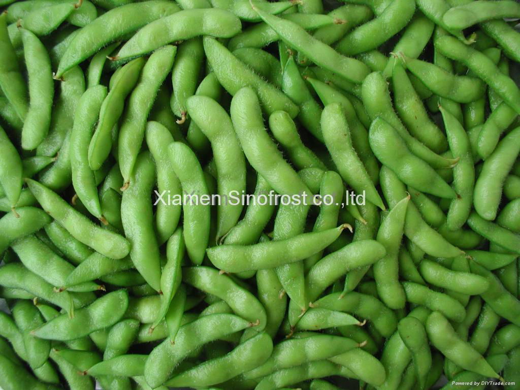 IQF Edamame,Frozen Edamame,IQF Green Soy Beans,Frozen Green Soy Beans