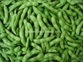 IQF Edamame in pods,Frozen Edamame,IQF