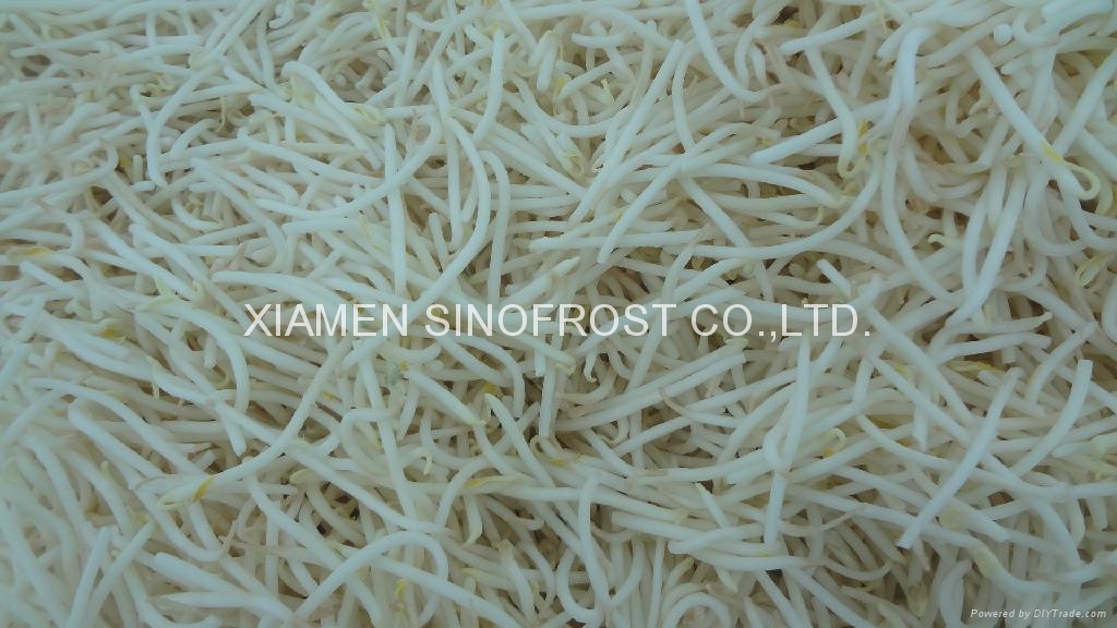 IQF mung beans sprouts,Frozen mung beans sprouts SFFVbeans