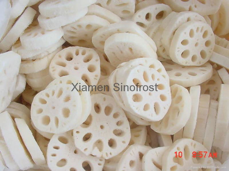 IQF Lotus Roots,Frozen Lotus Roots,slices/cuts