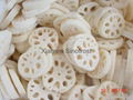 IQF Lotus Roots,Frozen Lotus Roots,slices/cuts