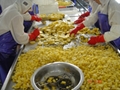 IQF pineapples ( tidbits/chunks/diced),Frozen pineapples (tidbits/chunks/diced) 2