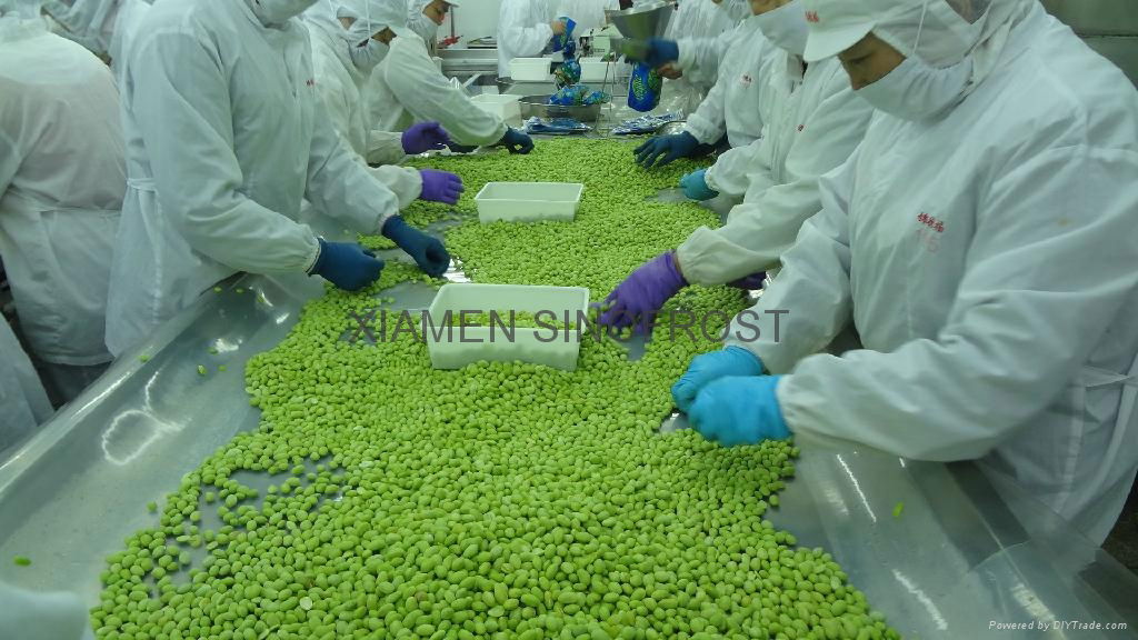 IQF Edamame,Frozen Edamame,IQF Green Soy Beans,Frozen Green Soy Beans 5