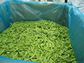 IQF Pea Pods,IQF Snow Peas,Frozen Pea Pods,IQF Frozen Peapods 3