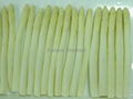 IQF White Asparagus,Frozen White